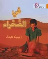 In the Desert: Level 6