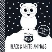 Black and White Animals