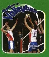 Spike it Volleyball