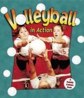 Volleyball in Action