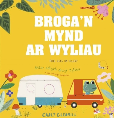 Broga'n Mynd ar Wyliau / Frog Goes on Holiday: Frog Goes on Holiday