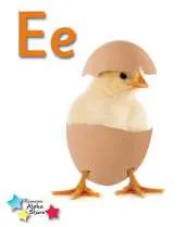 Alpha Stars Ee