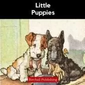Little Puppies