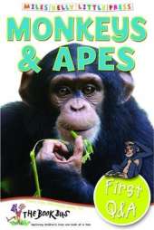 Monkeys & Apes