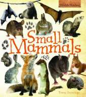 Small Mammals