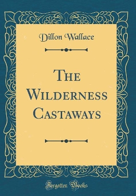 The Wilderness Castaways (Classic Reprint)