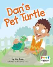 Dan's Pet Turtle