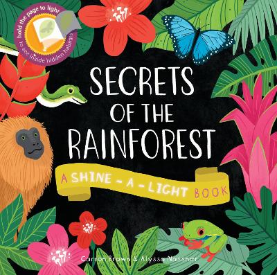 Shine a Light: Secrets of the Rainforest: A shine-a-light book