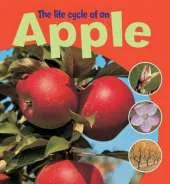 Learning About Life Cycles: The Life Cycle of an Apple