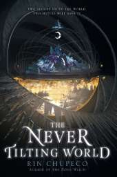 The Never Tilting World
