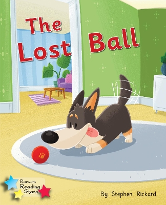 The Lost Ball: Phonics Phase 1/Lilac