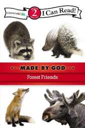 Forest Friends: Level 2
