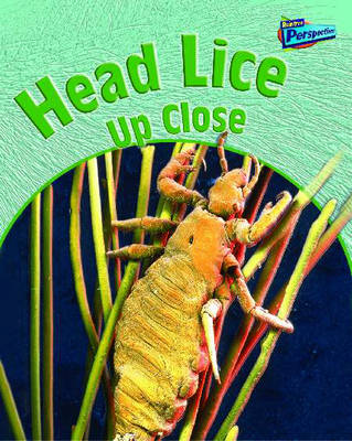 Head Lice Up-close
