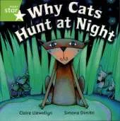 Rigby Star Independent Year 1/P2 Green Level: Why Cat's Hunt