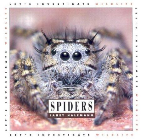 Spiders