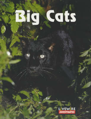 Livewire Investigates Big Cats