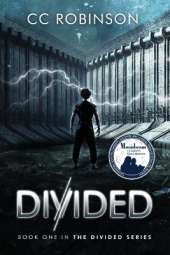 Divided: Book One in the Divided Series