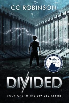 Divided: Book One in the Divided Series