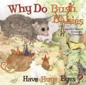 Why Do Bush Babies Have Huge Eyes?