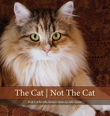 The Cat Not The Cat