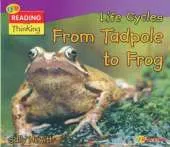 Life Cycles: From Tadpole to Frog
