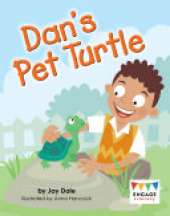 Dan's Pet Turtle