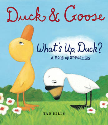 A Book of Opposites: Duck and Goose: What's Up Duck?