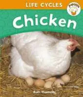 Popcorn: Life Cycles: Chicken