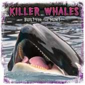 Killer Whales: Built for the Hunt