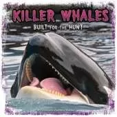 Killer Whales: Built for the Hunt