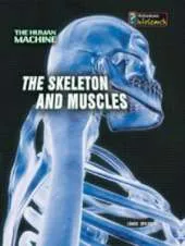 The Skeleton and Muscles