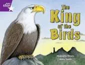 Rigby Star Guided Purple Level: The King of the Birds