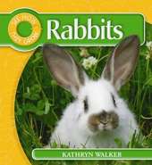 See How They Grow: Rabbit