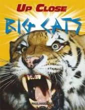 Up Close: Big Cats