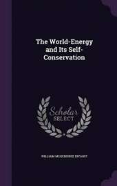 The World-Energy and Its Self-Conservation