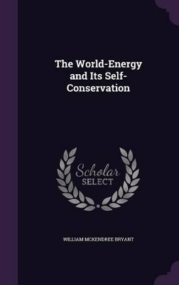 The World-Energy and Its Self-Conservation