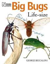Big Bugs Life-Size