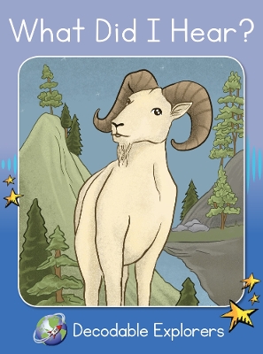 What Did I Hear?: Phonics Book 30