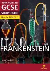 York Notes for GCSE (9-1): Frankenstein STUDY GUIDE - Everything you need to catch up, study and prepare for 2021 assessments and 2022 exams