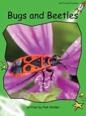 Red Rocket Readers: Early Level 4 Non-Fiction Set C: Bugs and Beetles Big Book Edition (Reading Level 14/F&P Level J)