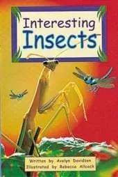 Interesting Insects (Level 19)