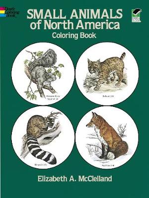 Small Animals of North America Coloring Book