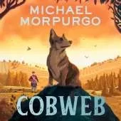 Cobweb