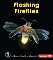 Flashing Fireflies