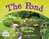 The Pond