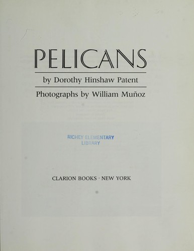 Pelicans