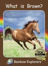Red Rocket Readers: Rainbow Explorers: What is Brown?