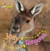 Lifecycles: Joey to Kangaroo