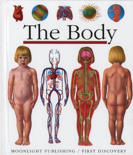 Body