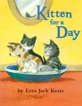 Kitten for A Day